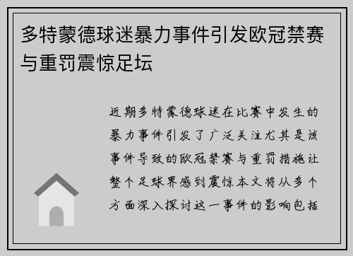多特蒙德球迷暴力事件引发欧冠禁赛与重罚震惊足坛