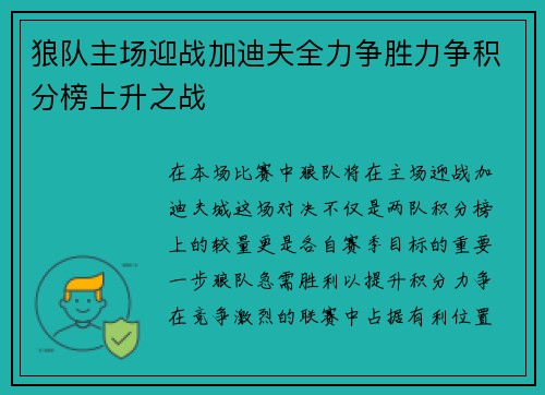 狼队主场迎战加迪夫全力争胜力争积分榜上升之战