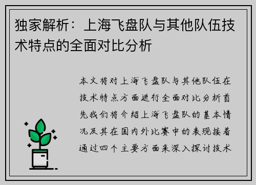 独家解析：上海飞盘队与其他队伍技术特点的全面对比分析