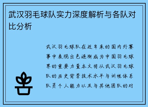 武汉羽毛球队实力深度解析与各队对比分析
